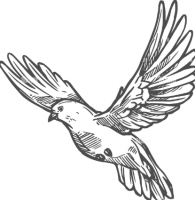 Pfingsten / Heiliger Geist