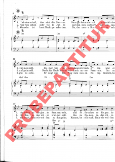 Der Stern von Bethlehem (Chorpartitur mit Klavierbegleitung)