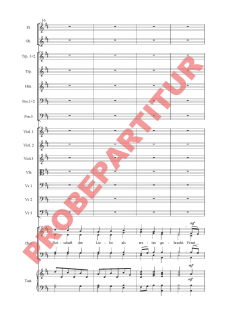 Noel (Orchesterpartitur GCh)