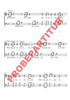 Auf dem Weg nach Bethlehem (Chorpartitur GCh)
