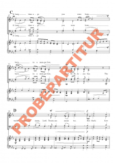 Sweet Little Jesus Boy (Partitur - Chorsatz mit Klavierbegleitung)