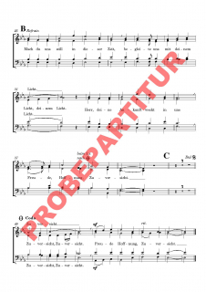 Wir freuen uns, es ist Advent (Chorpartitur)