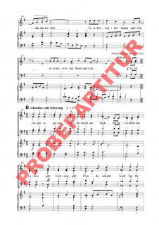 Was wär´ das Leben ohne Lied GCh Partitur