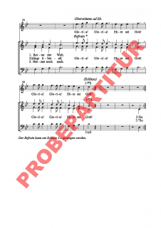 Auf Bethlehems Feldern (Chorpartitur SAM)