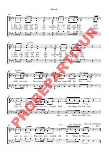 Lichterzeit - Freudenzeit (Chorpartitur SAM)