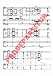 Lichterzeit - Freudenzeit (Partitur SAM)