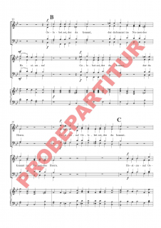 Hosianna, gelobet sei, der da kommt (Partitur - Chorsatz mit Klavierbegleitung)