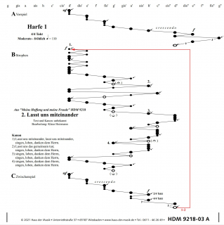 Meine Hoffnung - Veeh-Harfen®-Mappe