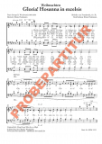Gloria! Hosanna in excelsis (Chorpartitur GCh)
