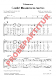 Gloria! Hosanna in excelsis (Chorpartitur SAM) Gloria! Hosanna in excelsis (Chorpartitur SAM)