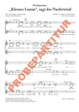Kleines Lamm, sagt der Nachtwind (Chorpartitur FCh) Kleines Lamm, sagt der Nachtwind (Chorpartitur FCh)