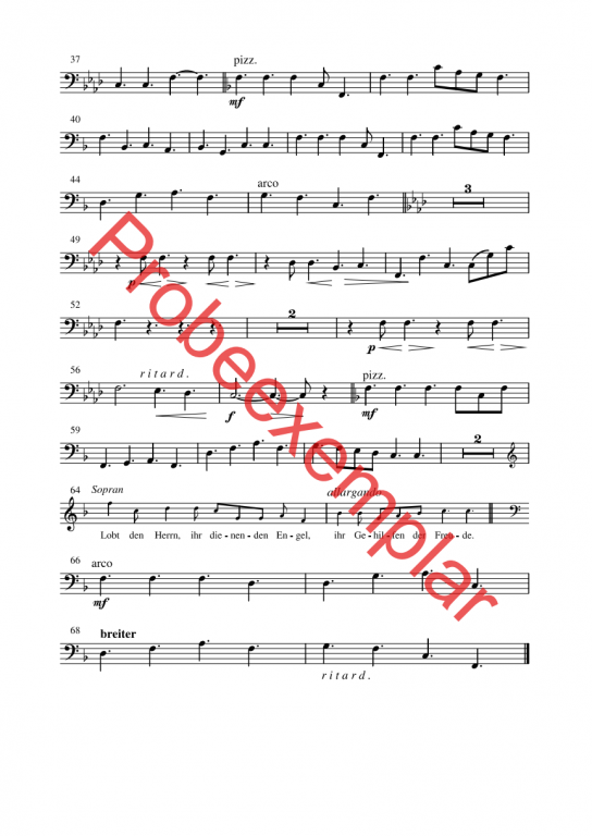 David - König, Sänger und Poet - (Kontrabass)